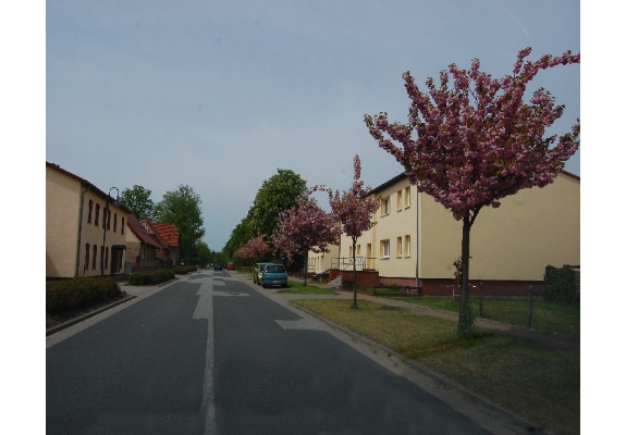 Fritz-Reuter-Straße