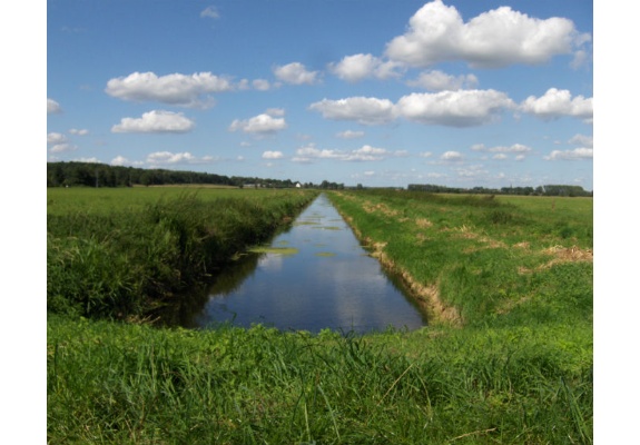View over wide meadows - typical of the Lewitz