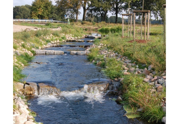 Fish ladder at the rest area Goldenstädt, district Banzkow
