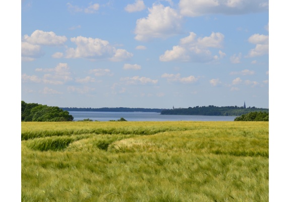 View of Lake Schwerin from Leezen