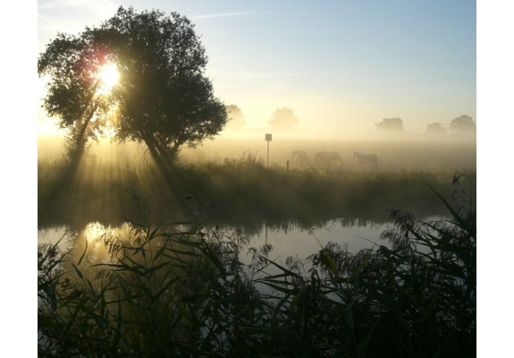 Morning mood at Störkanal