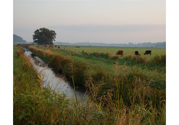 In the river valley of Stör at Consrade
